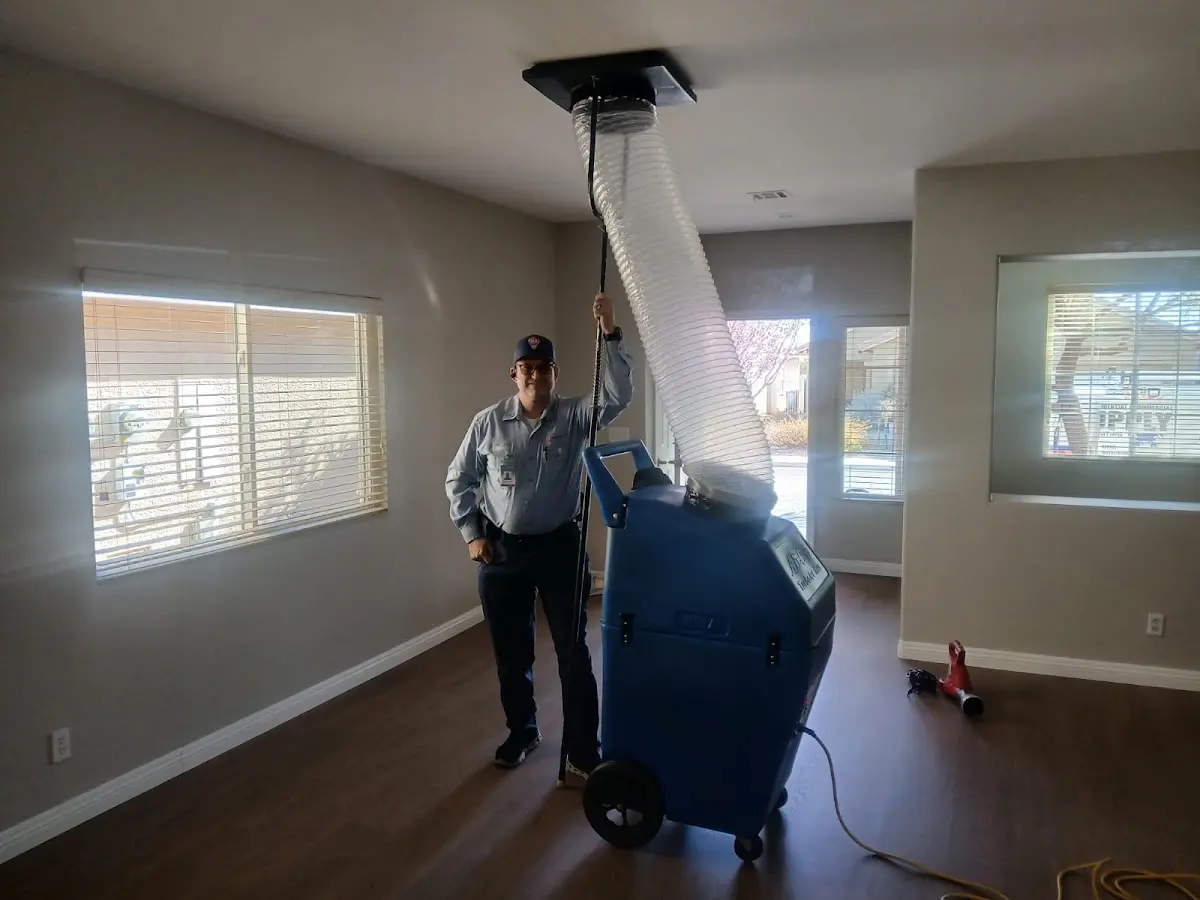 Professional Dryer Vent Cleaning work inside a Lower home